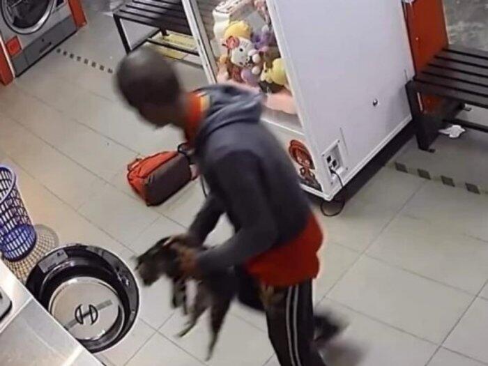 Pria Ini Tertangkap CCTV Bunuh 3 Kucing Dimasukkan ke Mesin Cuci