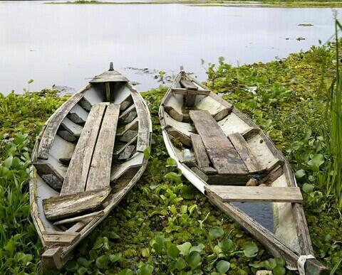 &#91;COC Reg. Karawang&#93; Jomlo Merapat! Yuk, Katakan Cinta di Pulau Cinta Biar Diterima