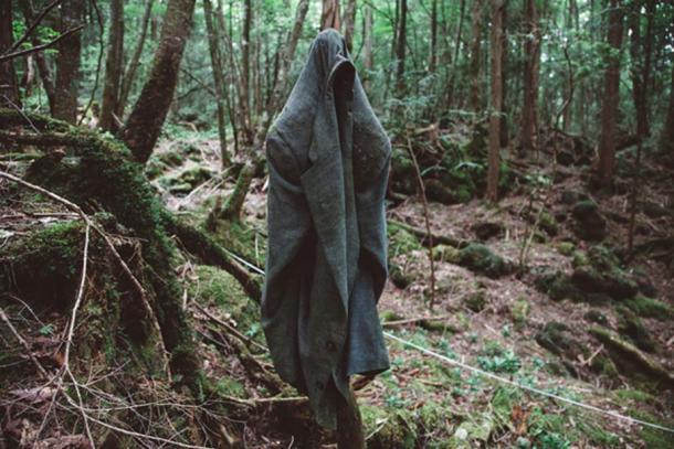 Aokigahara, Hutan Bunuh Diri Di Jepang!
