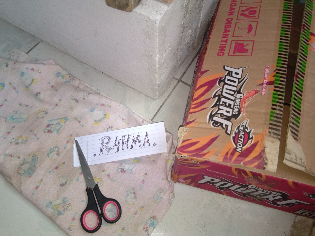 DIY Life Hack Bikin Kandang Kucing Sederhana