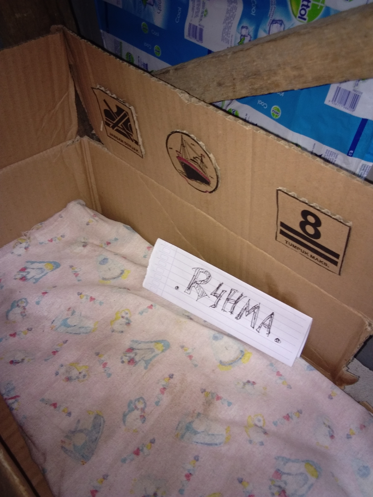 DIY Life Hack Bikin Kandang Kucing Sederhana