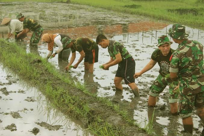 Tentara Turun ke Sawah Garap Lumbung Pangan, Aneh Nggak Sih?

