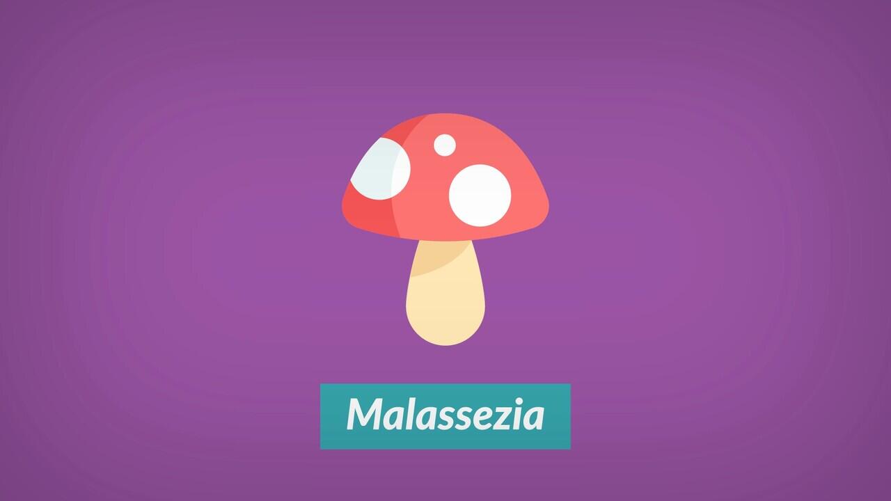 INI DIA CARA BASMI KETOMBE YANG TEPAT!