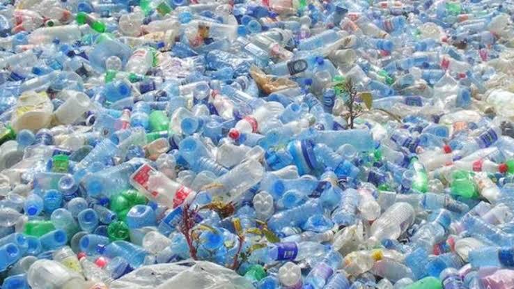 Penemuan Bakteri Jenis Baru Yang Mampu Mengurai Plastik Polyurethane