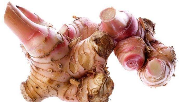 7 Rempah Indonesia Ini Mempunyai Khasiat Lebih, Salah Satunya Tingkatkan Vitalitas!
