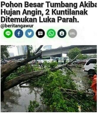 SEBLAS Berita Ini Dijamin Ente Manyun Nyengir Sendirian..