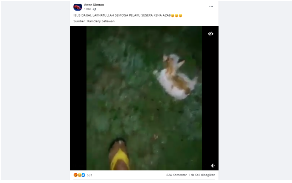 Biadab! Viral Video Kucing Dibakar Hidup-hidup, Netizen Doakan Pelaku Kena Azab