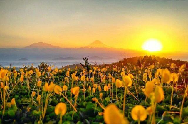 Agan Team Sunrise atau Sunset? Masuk sini Gan!