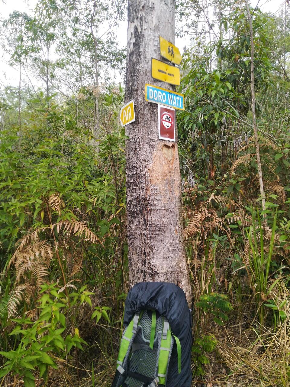 LAWU via JOGOROGO- CEMORO SEWU(NGAWI)