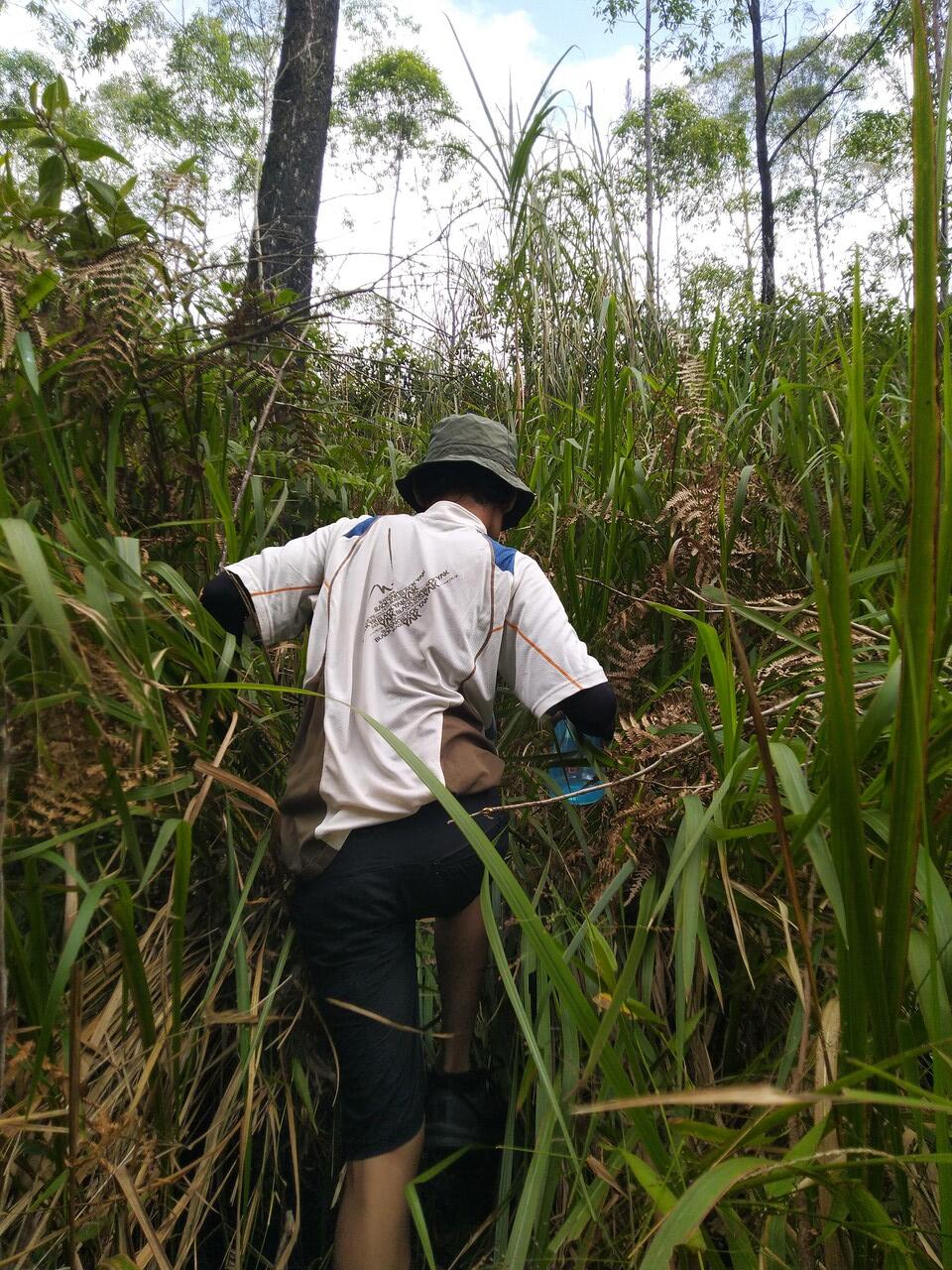 LAWU via JOGOROGO- CEMORO SEWU(NGAWI)