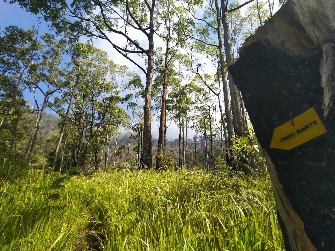 LAWU via JOGOROGO- CEMORO SEWU(NGAWI)