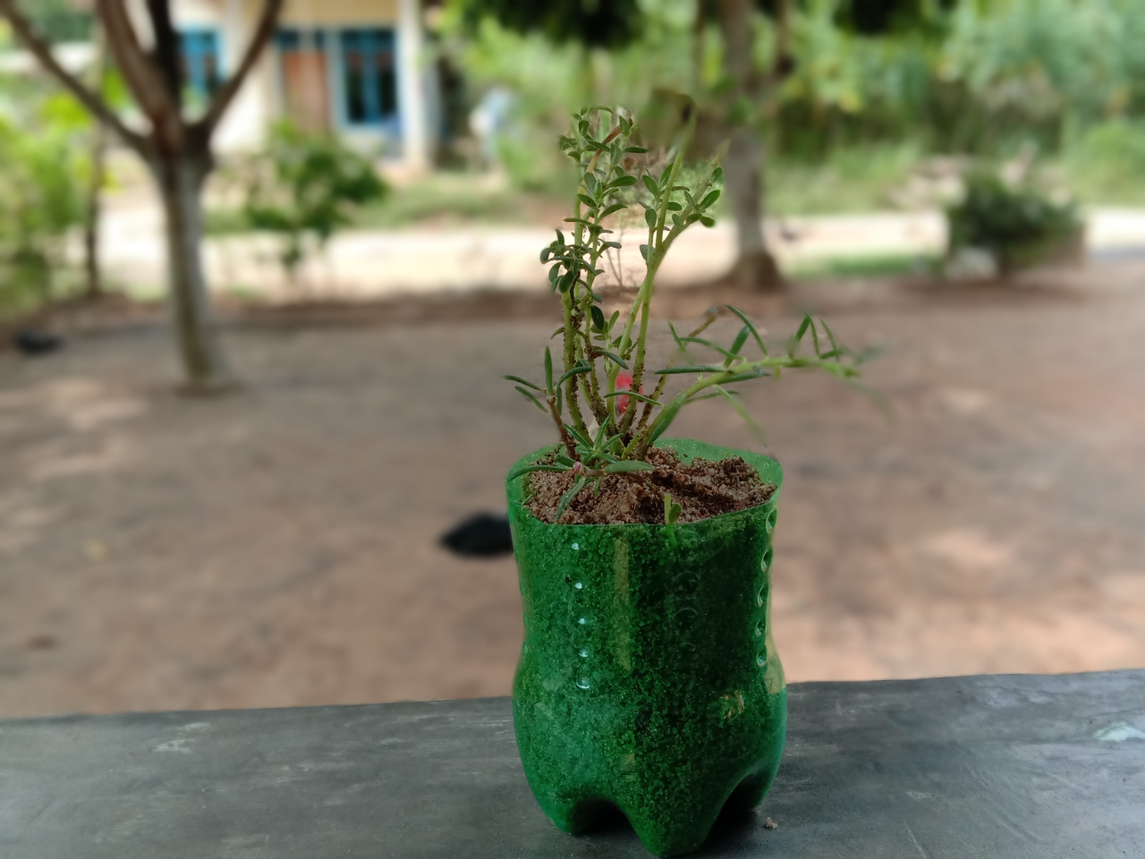 Tips and Trik Membuat Vas Bunga dari Toples dan Botol Bekas Ala Gue, Life Hacks Nih!