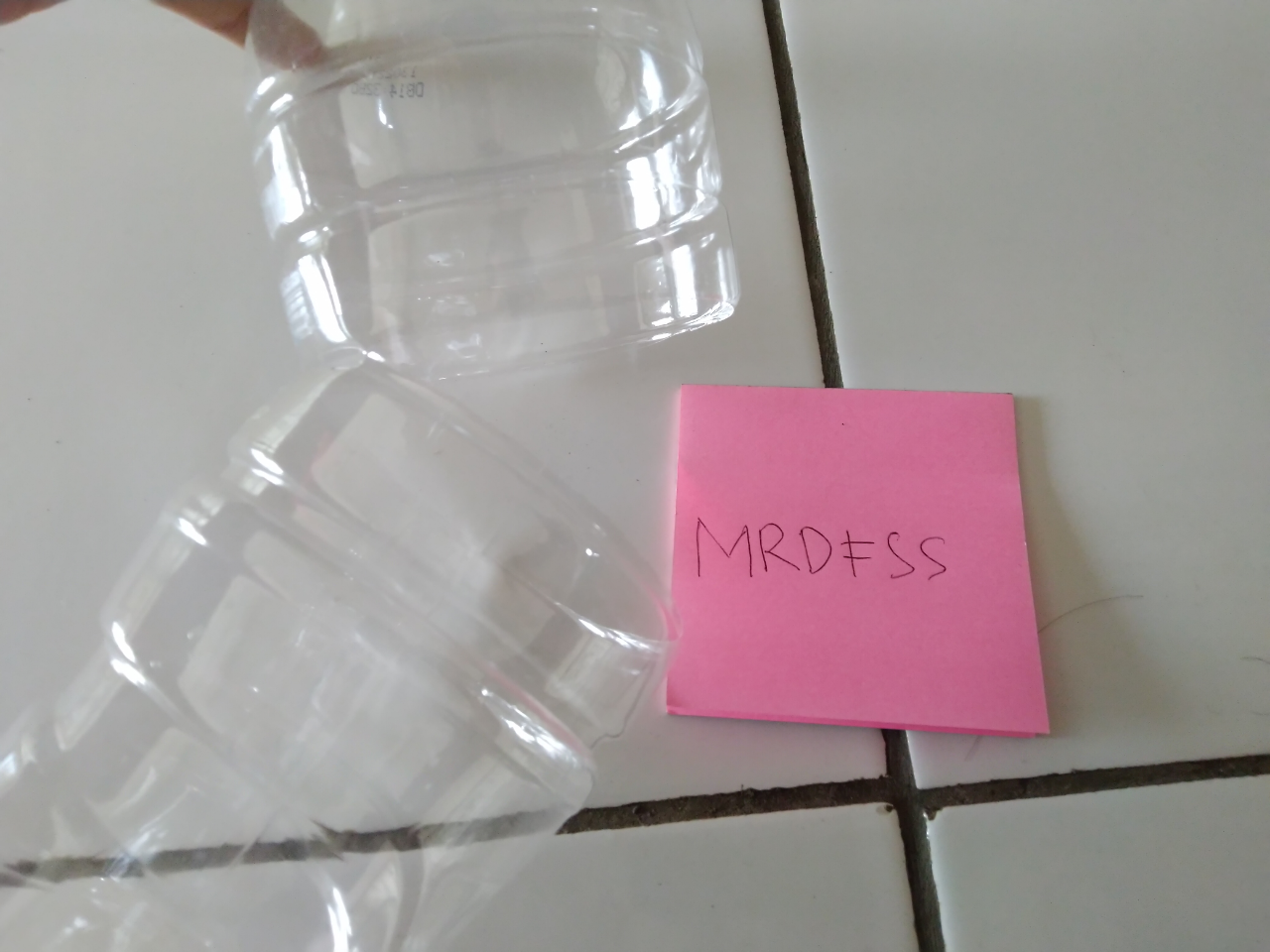 DIY Lifehack, Bikin Jebakan Tikus Modal Botol Plastik Bekas, Dijamin Ampuh!