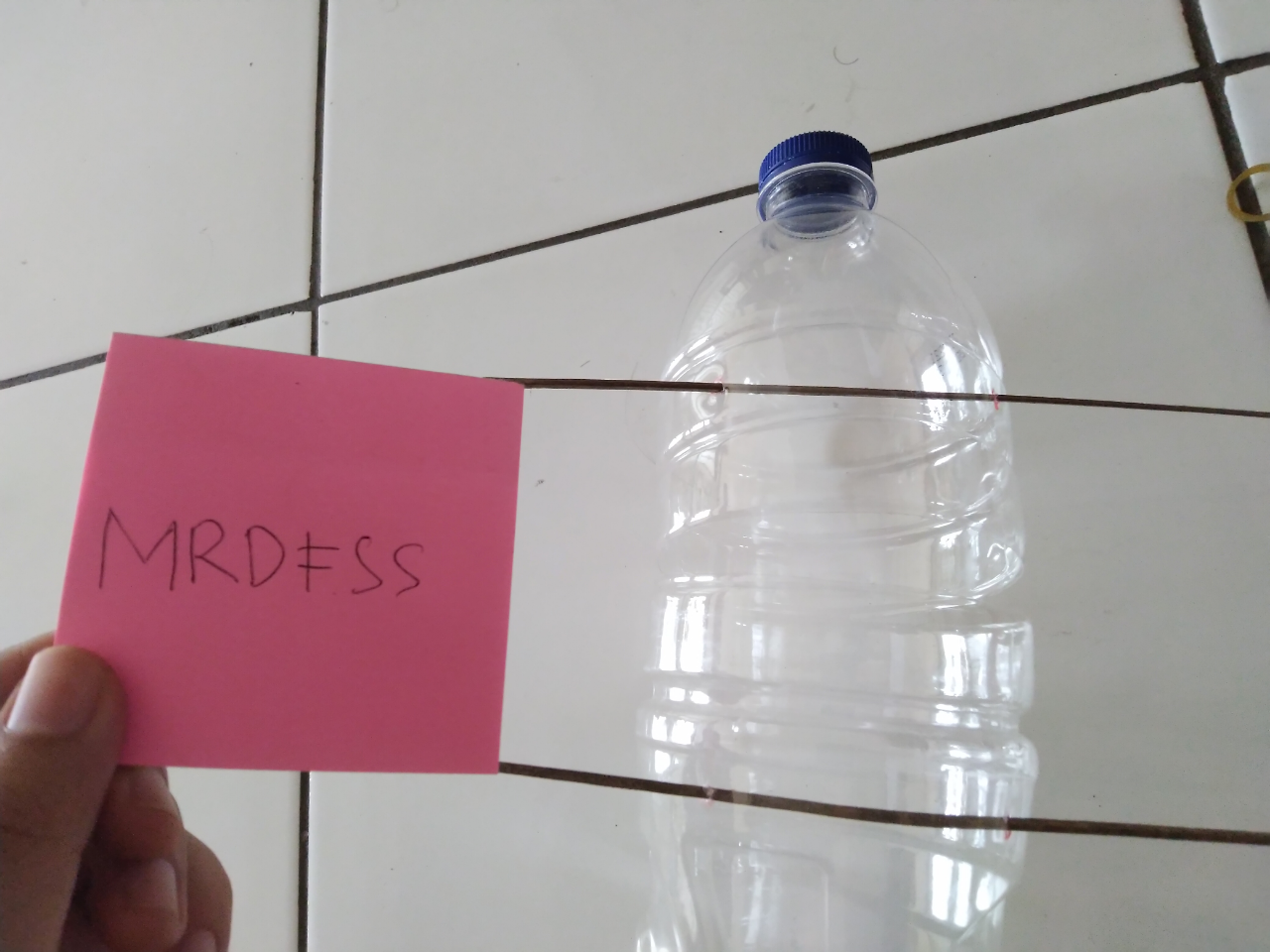 DIY Lifehack, Bikin Jebakan Tikus Modal Botol Plastik Bekas, Dijamin Ampuh!