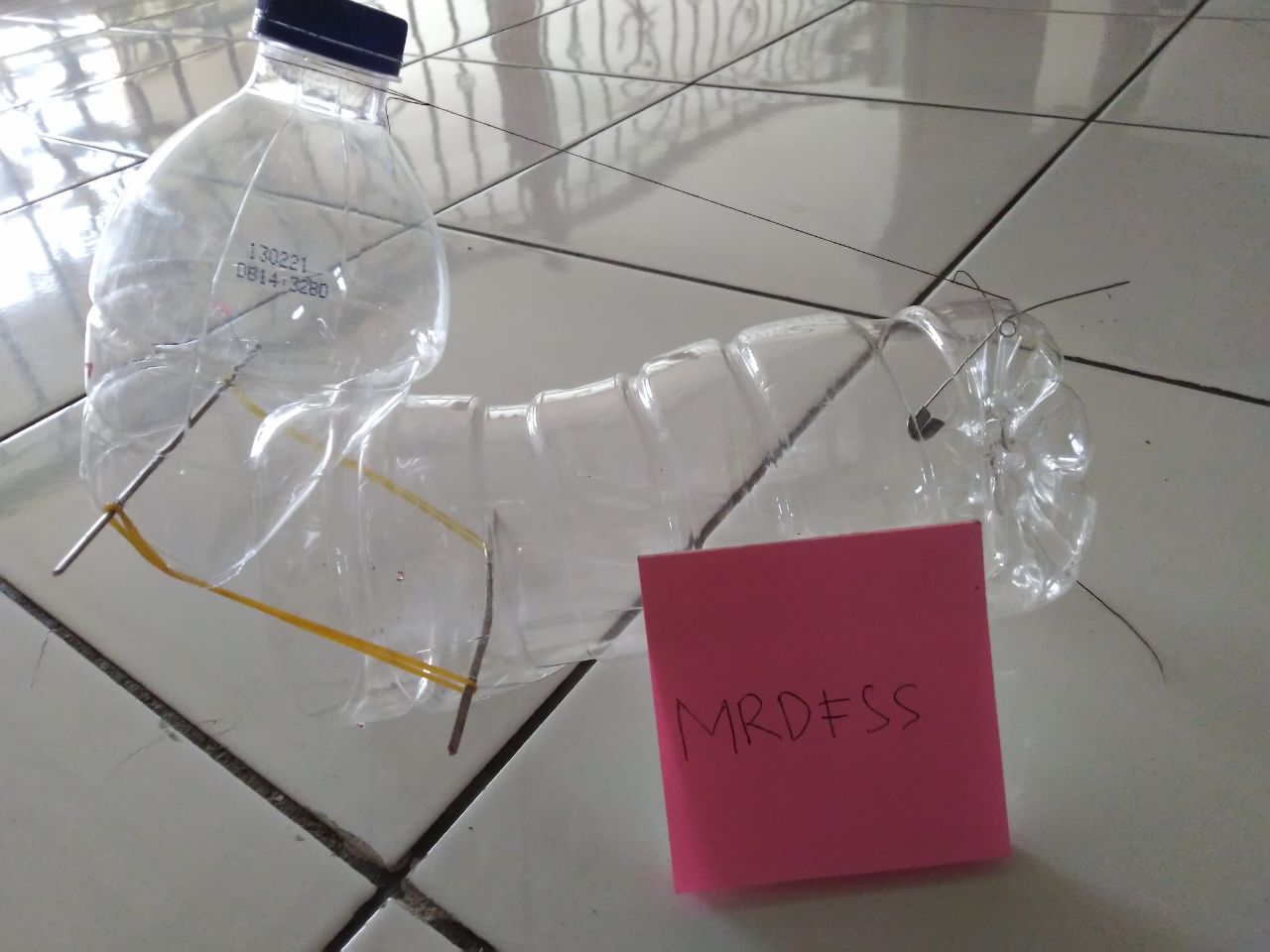 DIY Lifehack, Bikin Jebakan Tikus Modal Botol Plastik Bekas, Dijamin Ampuh!