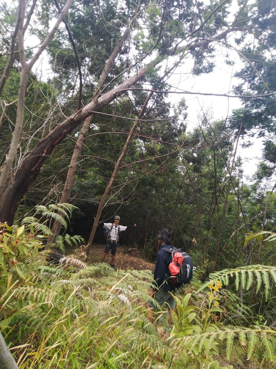 LAWU via JOGOROGO- CEMORO SEWU(NGAWI)