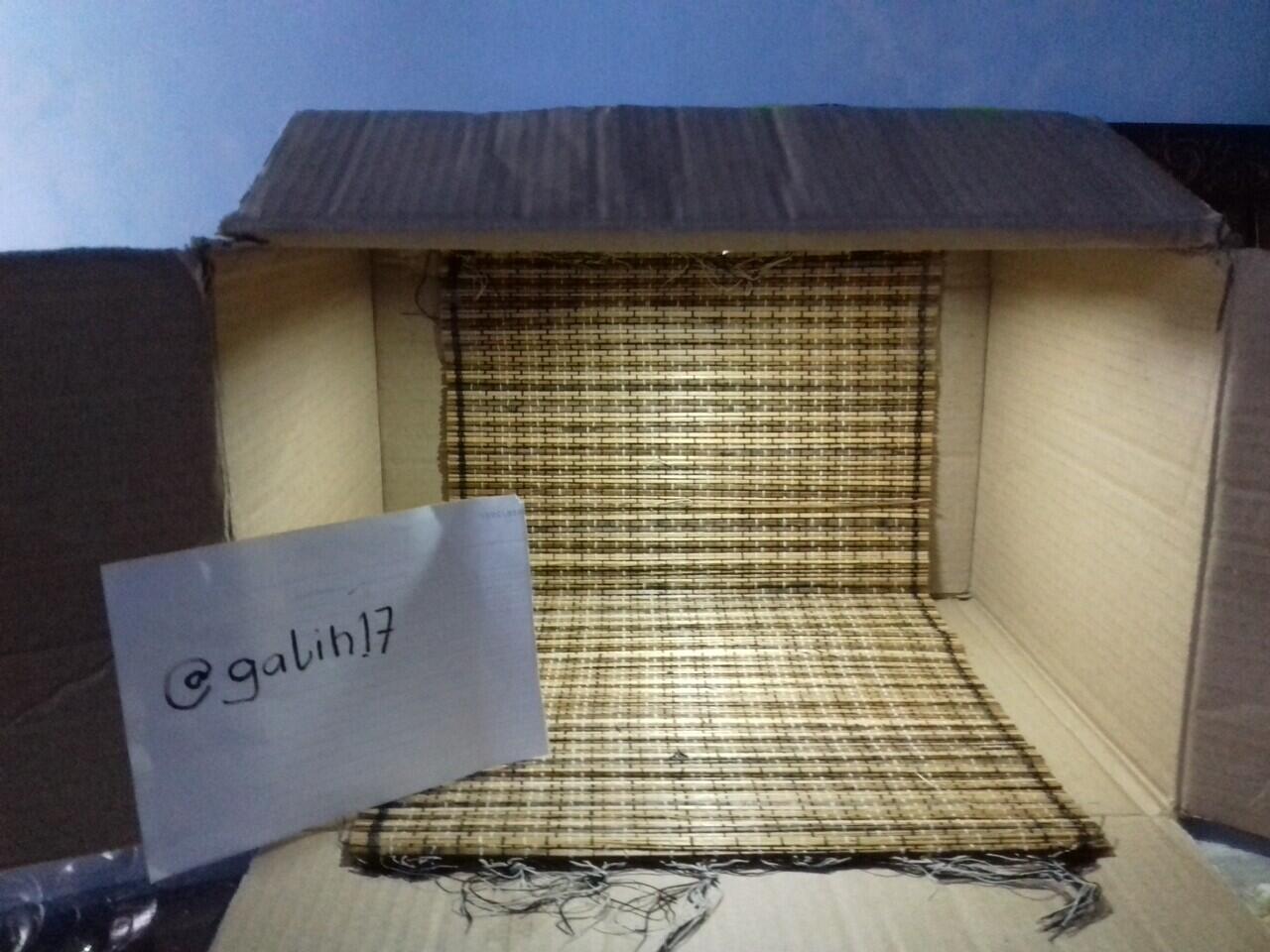 Membuat studio mini sederhana untuk memotret ikan
