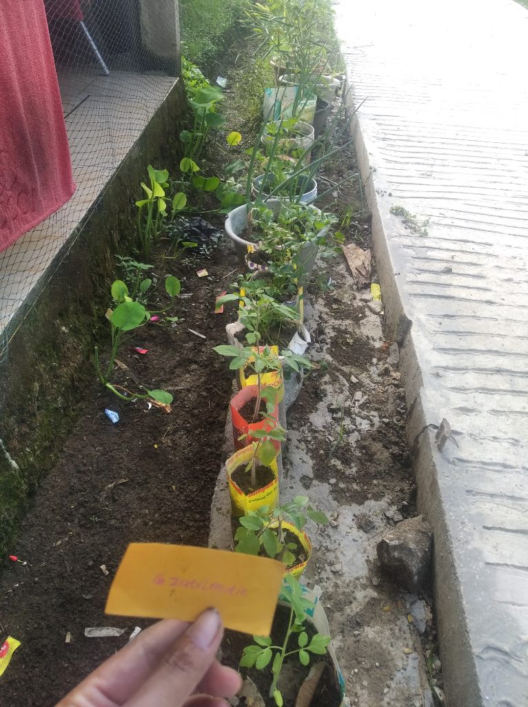 Ide Mengubah Kain Jarik Bekas Jadi Sarung Tangan Khusus Memasak Ini Patut Dicoba, Loh