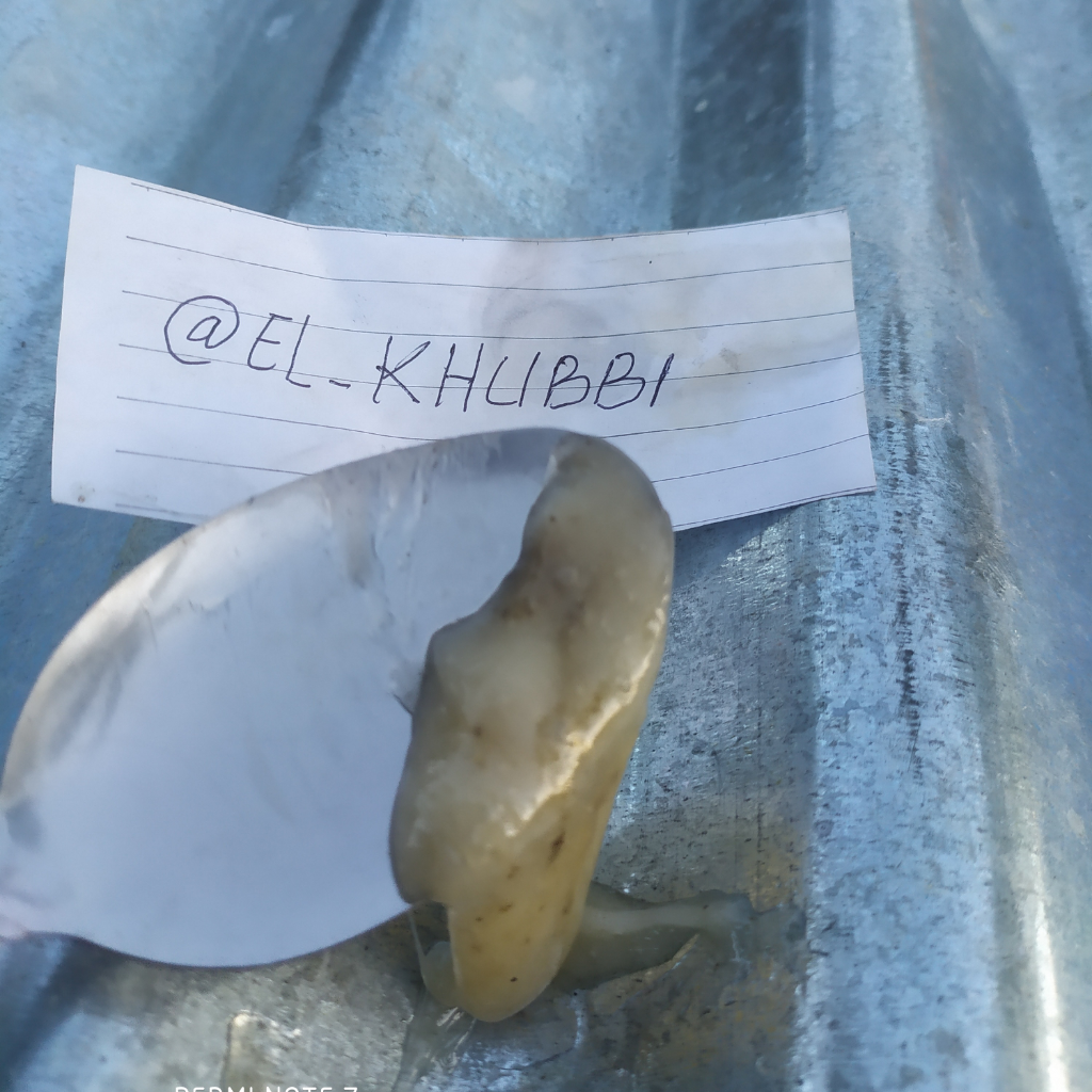 Ribet Mengatasi Kebocoran? Lakukan Cara Sederhana ini