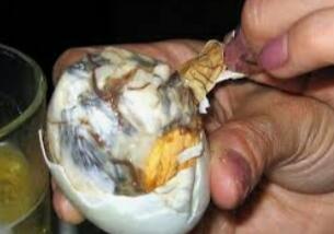 Kuliner Ekstrim, Mau Melahap nya. Ini 6 jenis makanannya: km,