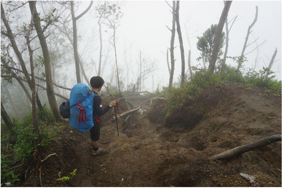 Merbabu Via Suwanting ?? View Markotop ! Ati-ati Gagal Dengkul