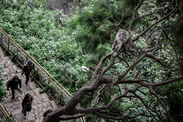 Menikmati Sensasi Wisata Curug Layung di Kesejukan Alam Bandung Utara