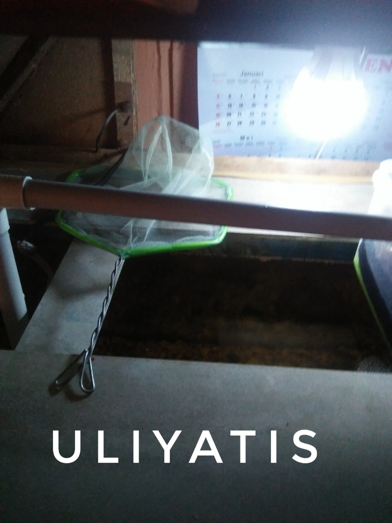 Penyaring Air Akuarium Bikinan Sendiri