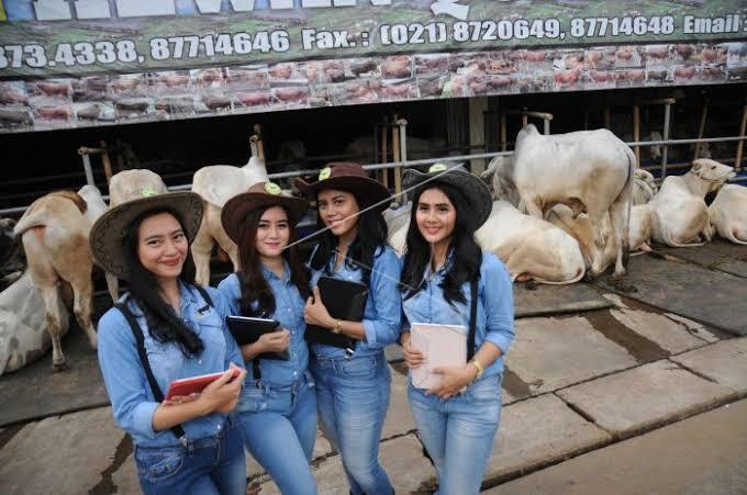 SPG Hewan Qurban, Cantik Dan Seksi