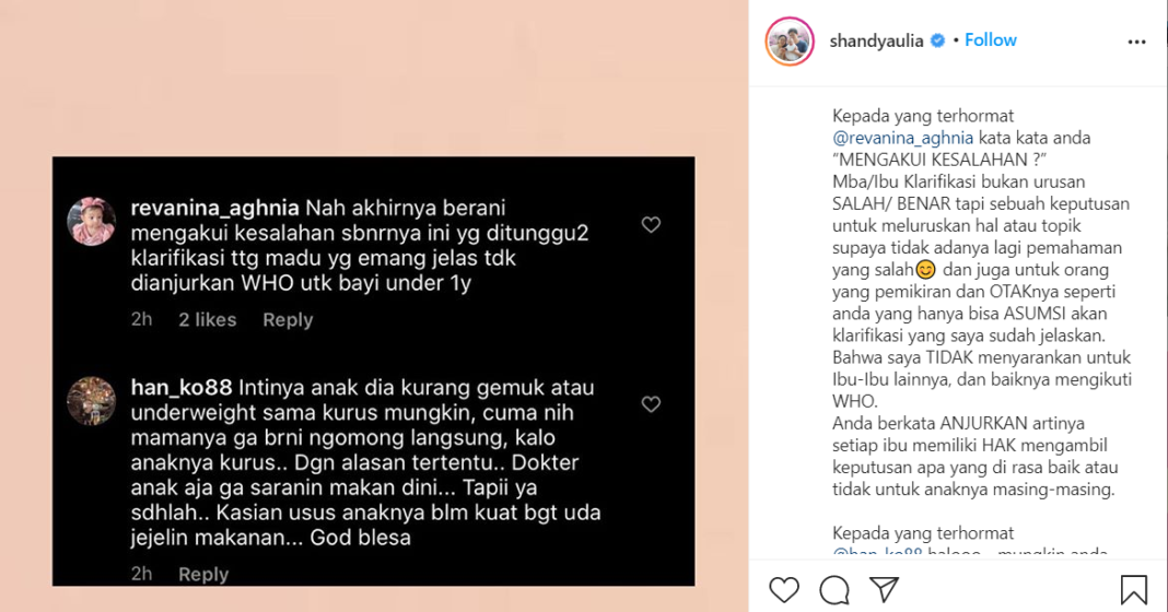 Soal MPASI dan Anaknya Dibilang Kurus, Shandy Aulia: Komentar Anda Tidak Pakai Otak