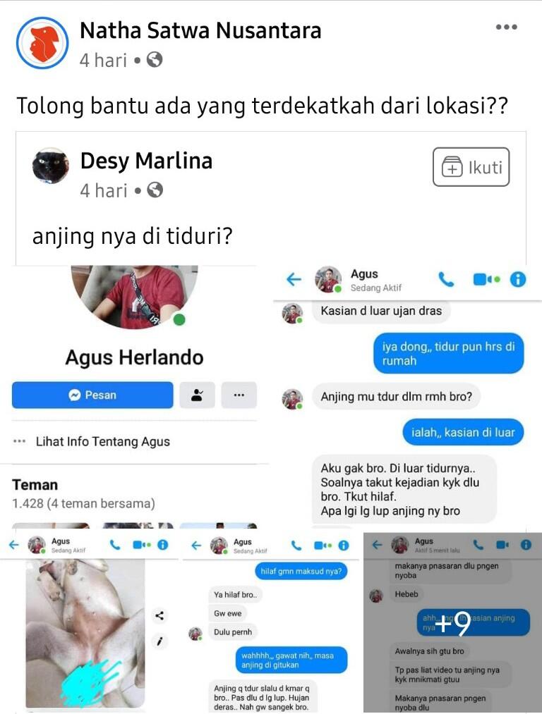 Gila! Istri Hamil, Sang Suami Lagi Pengin, Anjing Peliharaan jadi Pelampiasan