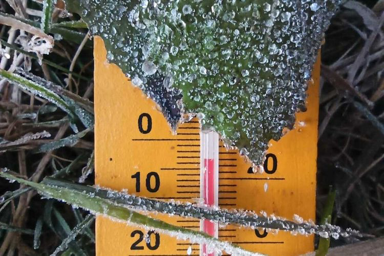 Fenomena Embun Es Terjadi di Gunung Dieng