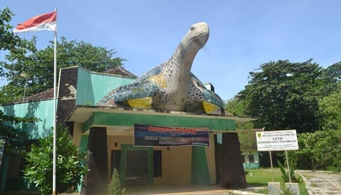 &#91;Coc Reg. Sukabumi&#93; Rileks Dipantai Ujung Genteng, Pantai Indah di Sukabumi
