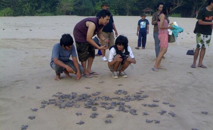 &#91;Coc Reg. Sukabumi&#93; Rileks Dipantai Ujung Genteng, Pantai Indah di Sukabumi