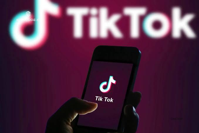 Andai Tik Tok Dilarang di Indonesia, Bagaimana Reaksimu?