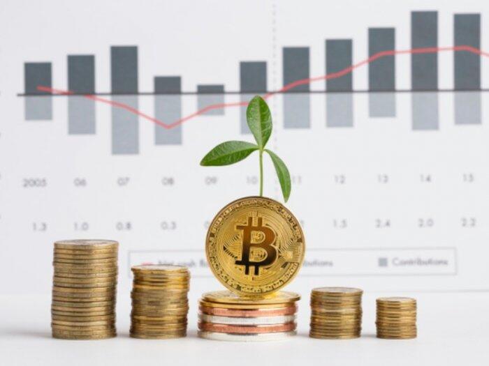 Harga Melejit Hingga Rp162 Juta, Benarkah Investasi Bitcoin Menguntungkan?