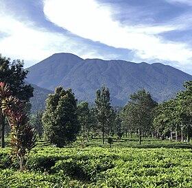 &#91;Coc Sukabumi&#93; Fakta Memilukan Dibalik Kesuburan Mata Air Di Sukabumi