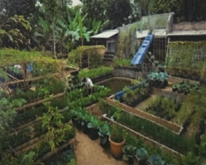 Mengoptimalkan Pekarangan Rumah.