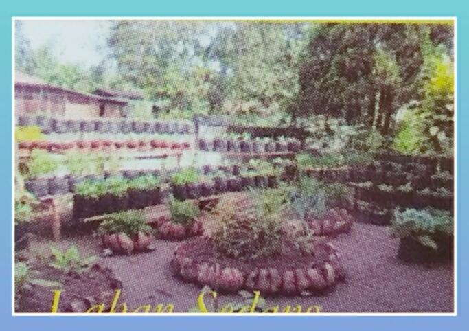 Mengoptimalkan Pekarangan Rumah.