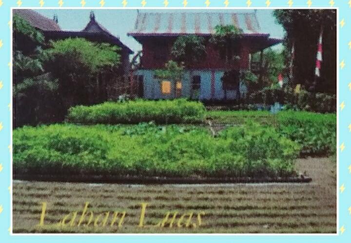 Mengoptimalkan Pekarangan Rumah.