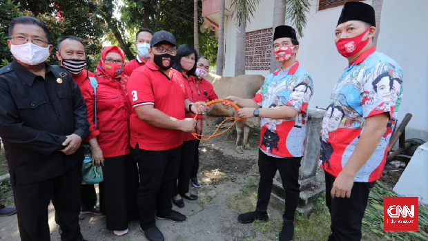 Gibran Sumbang Banyak Hewan Kurban: Lupa Jumlahnya