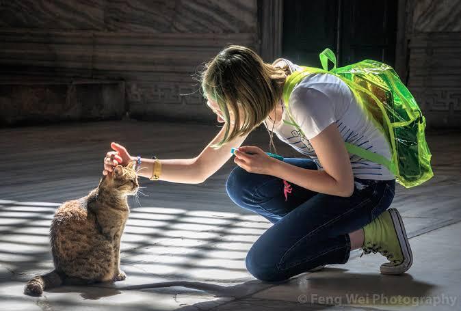 5 Fakta Tentang Gli, Kucing Lucu yang Loyal Hidup di Hagia Shopia Selama 16 Tahun