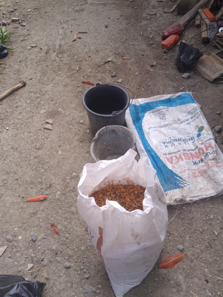 Do It Yourself (DIY) Cara Menanam Pohon yang Praktis dan Murah Meriah