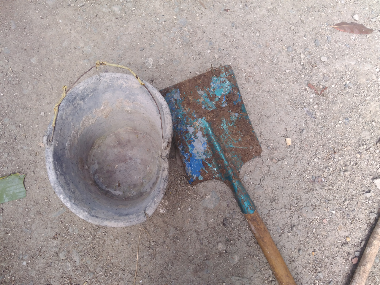 Do It Yourself (DIY) Cara Menanam Pohon yang Praktis dan Murah Meriah