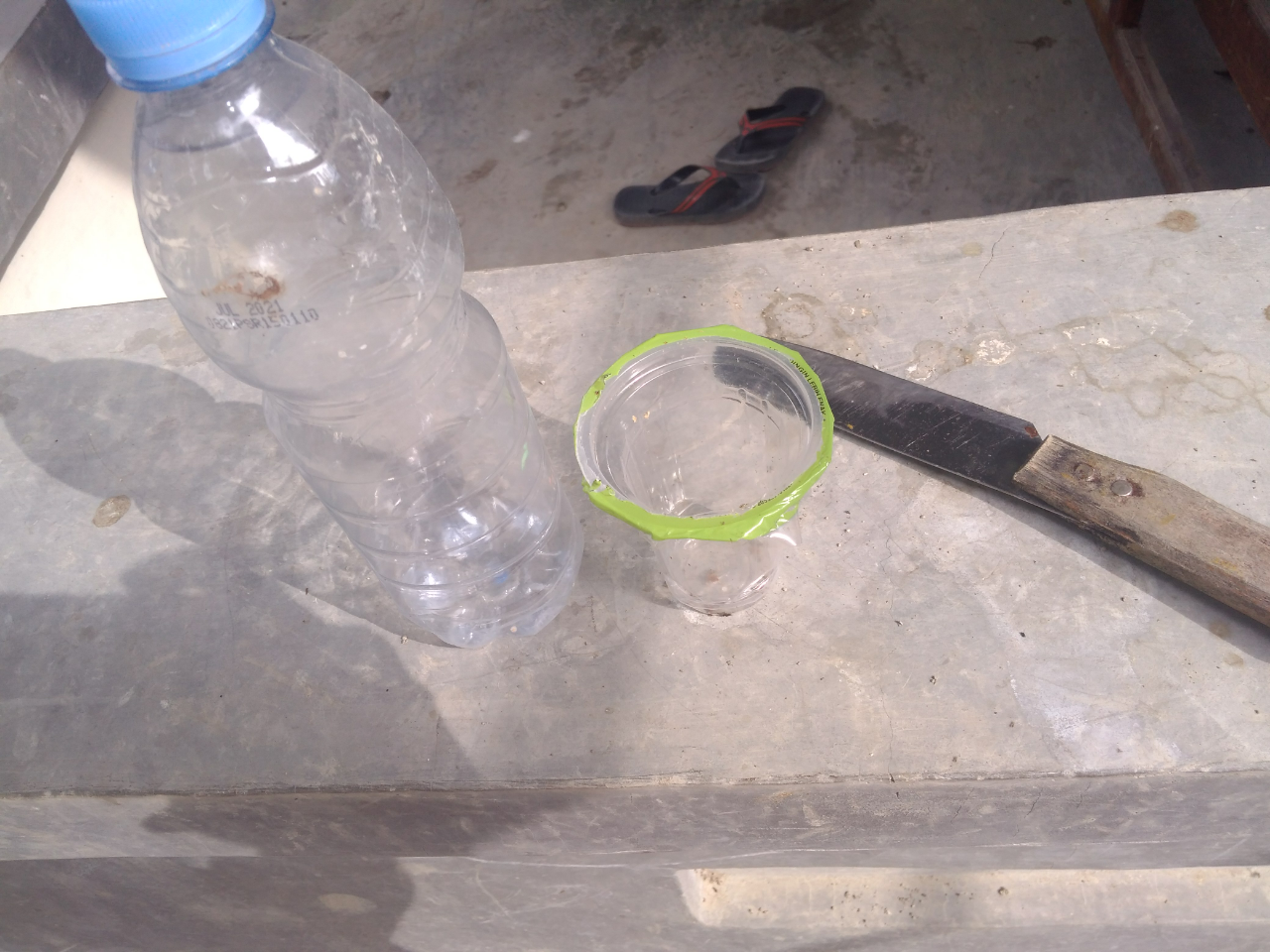 Do It Yourself (DIY) Cara Menanam Pohon yang Praktis dan Murah Meriah