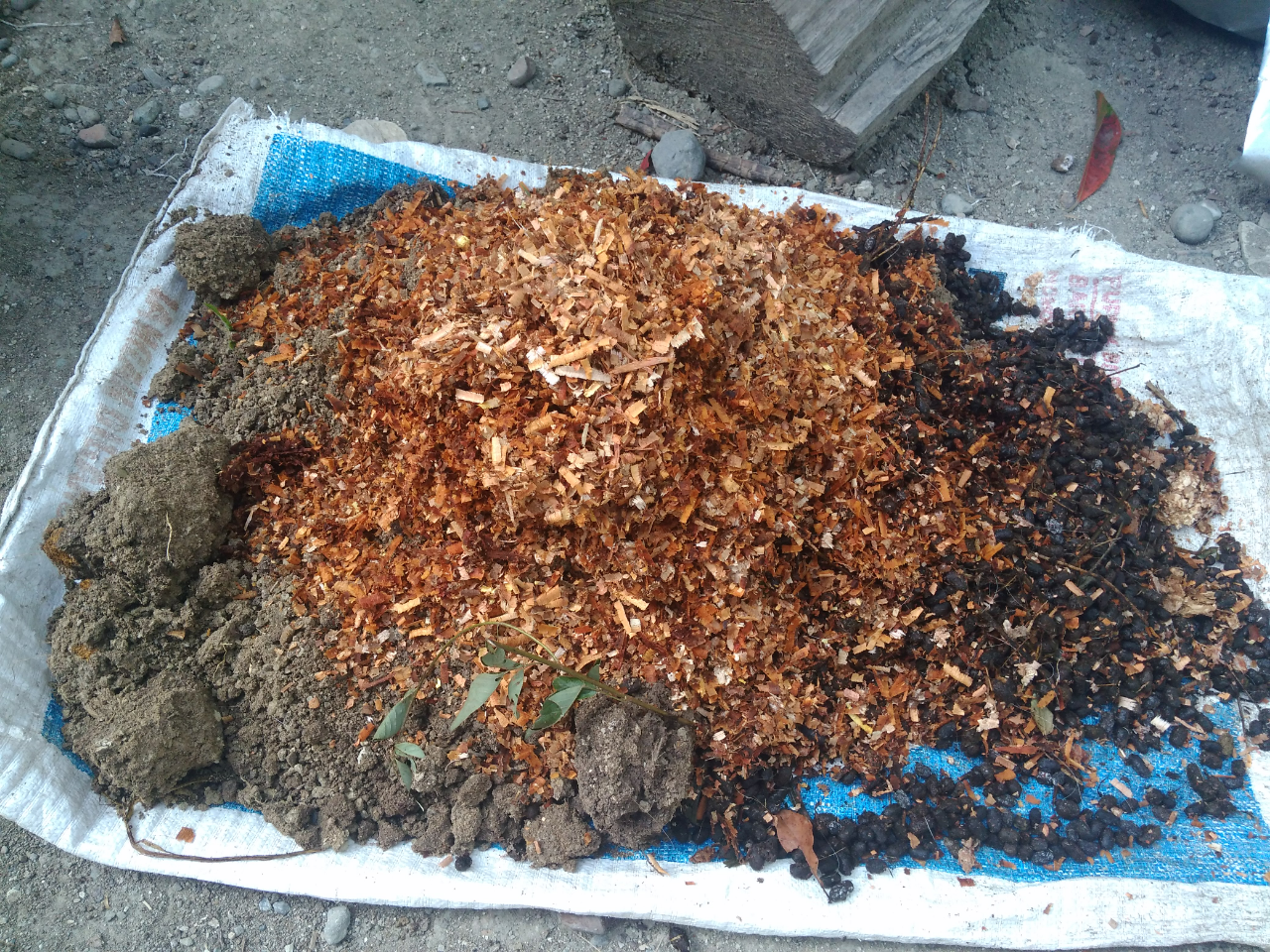 Do It Yourself (DIY) Cara Menanam Pohon yang Praktis dan Murah Meriah