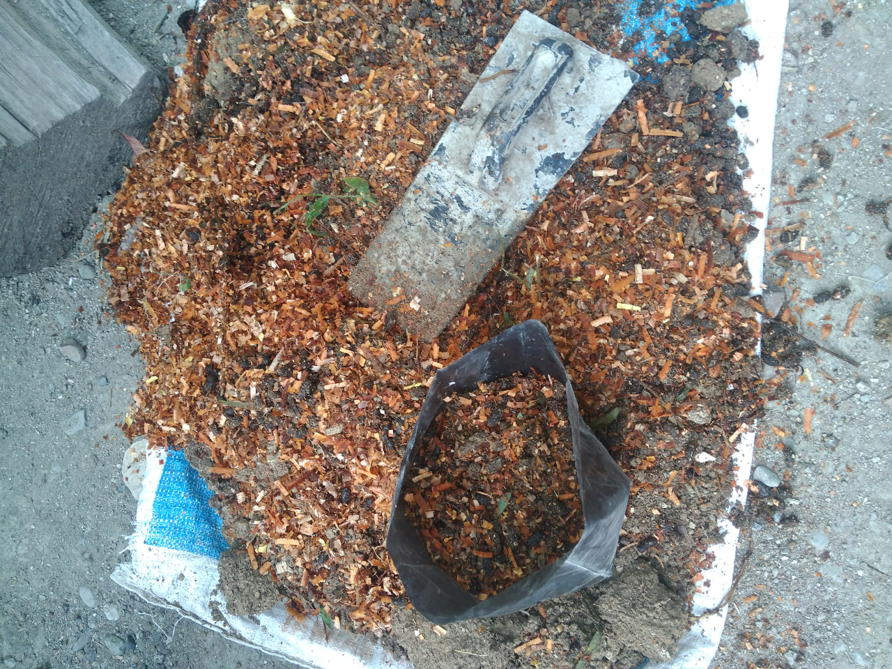 Do It Yourself (DIY) Cara Menanam Pohon yang Praktis dan Murah Meriah