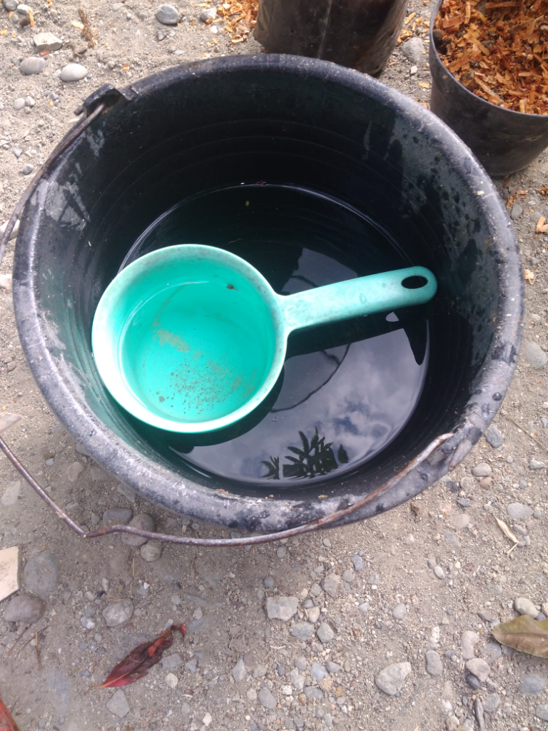 Do It Yourself (DIY) Cara Menanam Pohon yang Praktis dan Murah Meriah