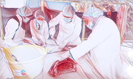 Perayaan Idul Adha di Tengah Pandemi, Jangan Lupakan Hal Ini!