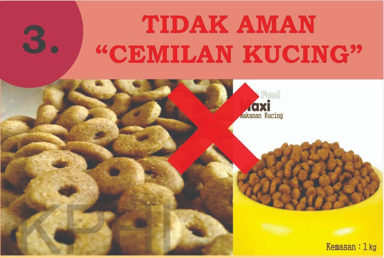 INFO PENTING! Cemilan Yang Dilarang Untuk Konsumsi Hamster