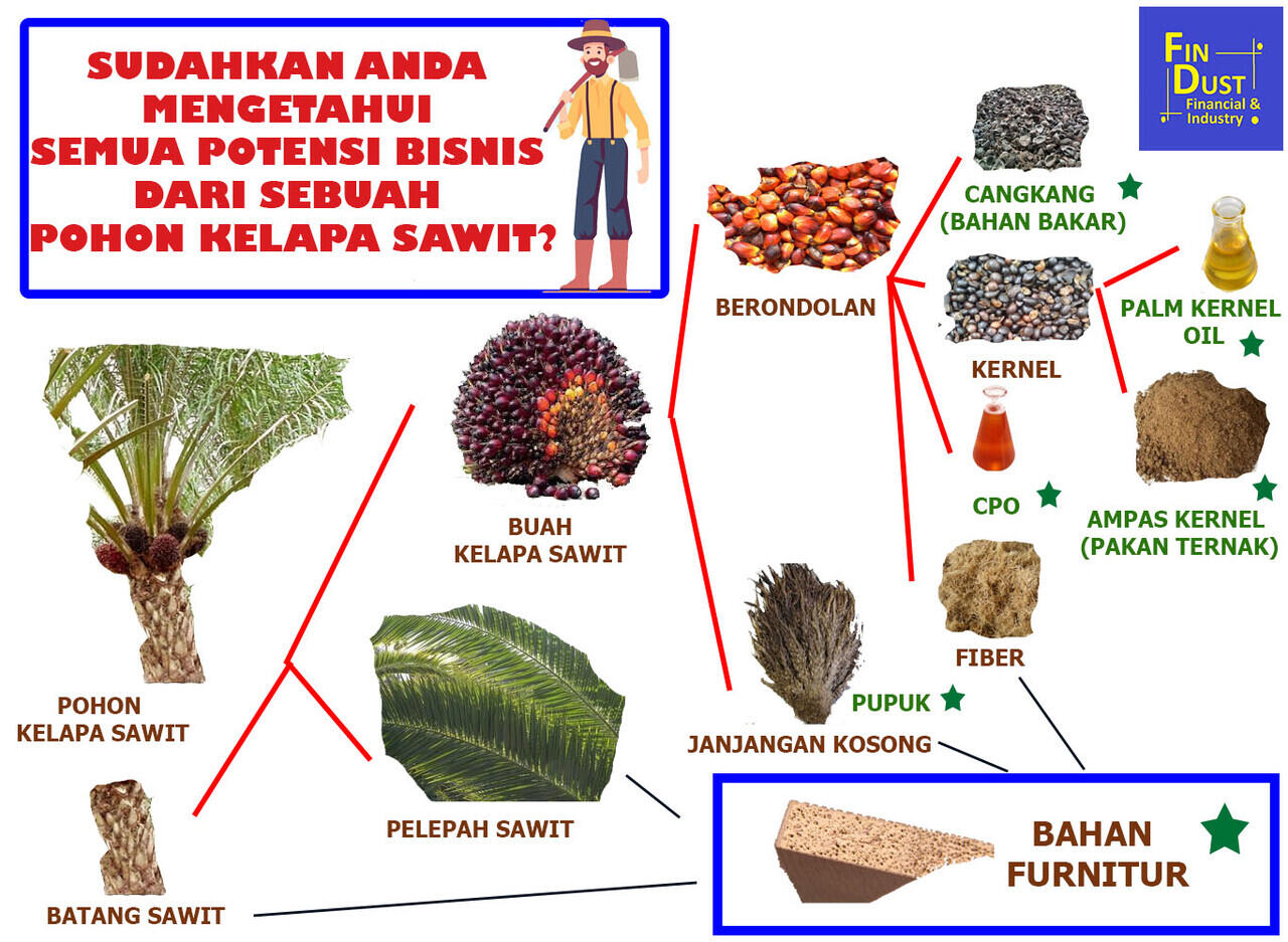 Potensi Dari Pohon Kelapa Sawit